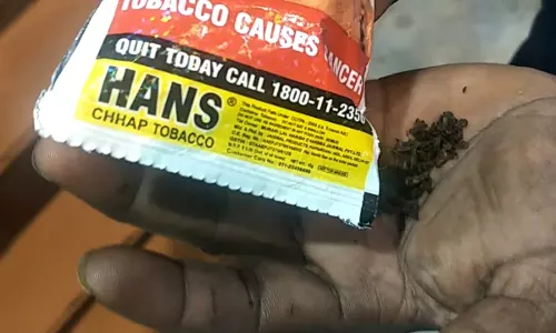 പാലക്കാട് വൻ വ്യാജ ഹാൻസ് നിർമ്മാണം പിടികൂടി