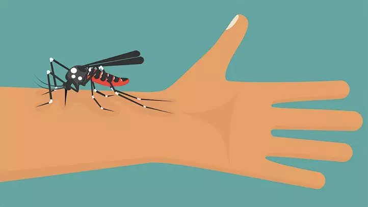 തിരുവനന്തപുരത്ത് ഒരാള്‍ക്ക് സിക്ക വൈറസ് ബാധ; 12 പേർക്ക് ലക്ഷണങ്ങള്‍