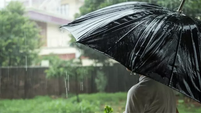 വരും ദിവസങ്ങളില് കാലവര്ഷം ശക്തമാകുമെന്ന് കാലാവസ്ഥാനിരീക്ഷണ കേന്ദ്രം വരും ദിവസങ്ങളില് കാലവര്ഷം ശക്തമാകുമെന്ന് കാലാവസ്ഥാനിരീക്ഷണ കേന്ദ്രം