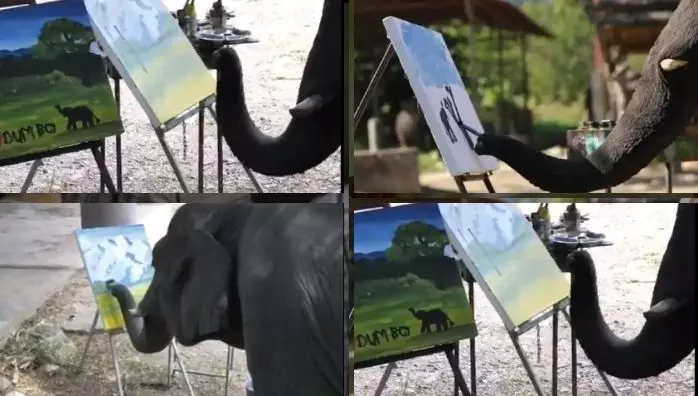 സ്വന്തം ചിത്രം വരച്ച് ആന; പെയിന്‍റിംഗ് വിറ്റുപോയത് 4 ലക്ഷത്തിന്