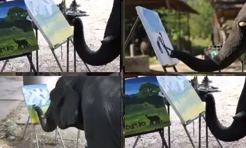 സ്വന്തം ചിത്രം വരച്ച് ആന; പെയിന്‍റിംഗ് വിറ്റുപോയത് 4 ലക്ഷത്തിന്