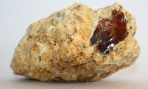 ആംബർഗ്രിസ്- തിമിംഗല ഛർദ്ദിയല്ല, വിസര്‍ജ്യം; കോടികള്‍ വിലമതിക്കുന്നത് എന്തുകൊണ്ട്?