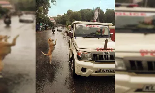 നടുറോഡില്‍ കേരള പോലീസിന് സല്യൂട്ട് അടിച്ച് നായ; അടിക്കുറിപ്പ് മത്സരവുമായി പോലീസ്