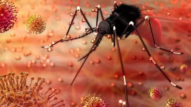 സിക പ്രതിരോധം; കര്മപദ്ധതിക്ക് ഇന്ന് രൂപം നല്കും സിക പ്രതിരോധം; കര്മപദ്ധതിക്ക് ഇന്ന് രൂപം നല്കും