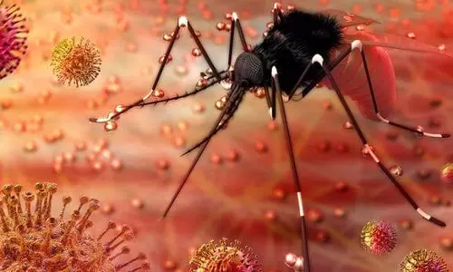 സിക പ്രതിരോധം; കര്‍മപദ്ധതിക്ക് ഇന്ന് രൂപം നല്‍കും