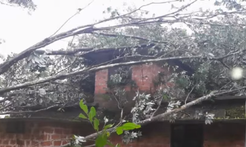 പറവൂരിലും കുന്നത്തുനാട്ടിലും ചുഴലിക്കാറ്റ്; കോടികളുടെ നാശനഷ്ടം