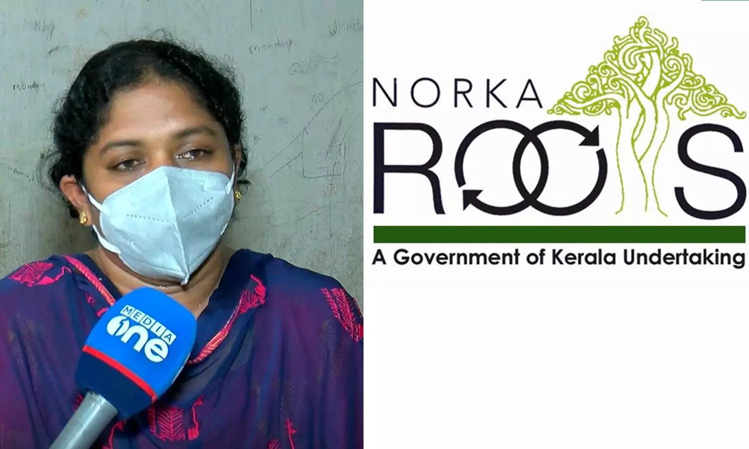 തൊഴിൽ പീഡനമുണ്ടായിട്ടും ഇടപെട്ടില്ല; നോർക്കയ്‌ക്കെതിരേ വീട്ടമ്മ കോടതിയിലേക്ക്