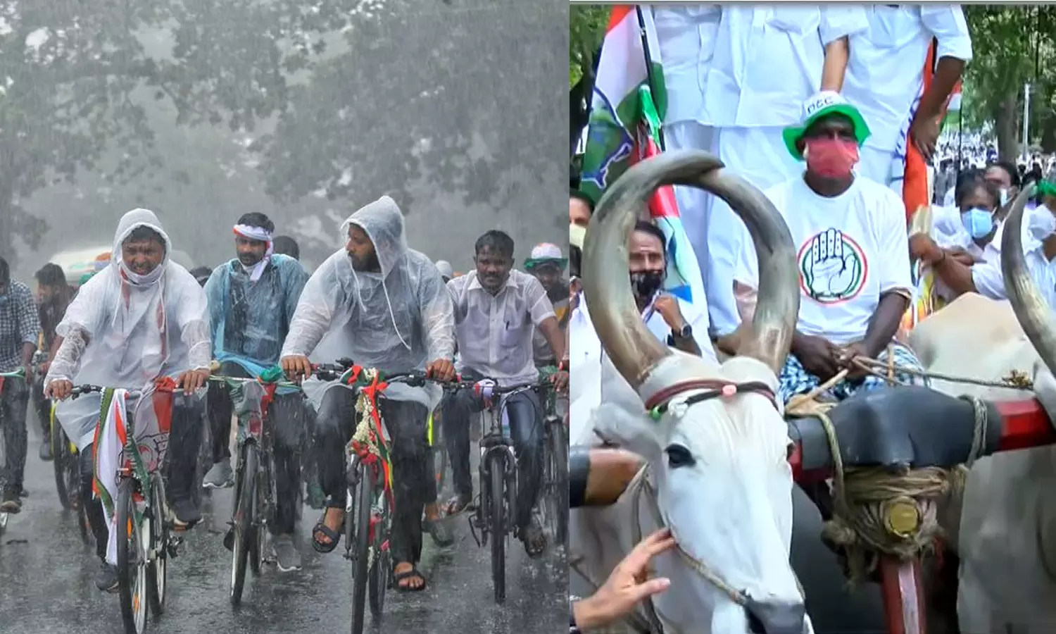 ഇന്ധനവില വര്ധനവ്; കാളവണ്ടി പ്രതിഷേധവുമായി കോണ്ഗ്രസ്, പ്രതിഷേധ സൈക്കിള് യാത്രയുമായി യൂത്ത് കോണ്ഗ്രസ് ഇന്ധനവില വര്ധനവ്; കാളവണ്ടി പ്രതിഷേധവുമായി കോണ്ഗ്രസ്, പ്രതിഷേധ സൈക്കിള് യാത്രയുമായി യൂത്ത് കോണ്ഗ്രസ്