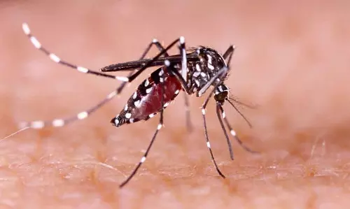 തിരുവനന്തപുരത്ത് സിക ക്ലസ്റ്റർ രൂപപ്പെട്ടു; മൂന്ന് കി.മീറ്റർ വ്യാപ്തിയിൽ രോഗബാധ