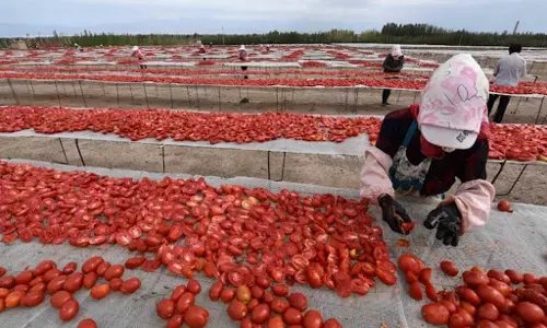 ഉയിഗൂർവേട്ട: ചൈനയിലെ ഷിൻജിയാങ്ങിൽനിന്നുള്ള ചരക്കുകള് അമേരിക്ക നിരോധിച്ചു ഉയിഗൂർവേട്ട: ചൈനയിലെ ഷിൻജിയാങ്ങിൽനിന്നുള്ള ചരക്കുകള് അമേരിക്ക നിരോധിച്ചു