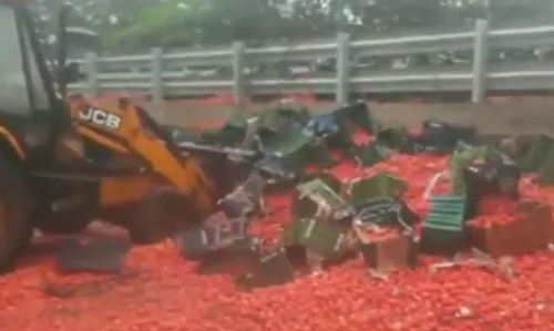 എക്സ്പ്രസ് ഹൈവേയില്‍ ട്രക്ക് മറിഞ്ഞു; റോഡില്‍ ചിതറിവീണത് 20 ടണ്‍ തക്കാളി