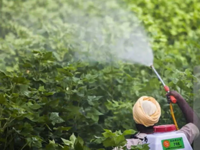 എന്‍ഡോസള്‍ഫാന്‍ ദുരിതബാധിതരുടെ അപേക്ഷകള്‍ കെട്ടിക്കിടക്കുന്നു