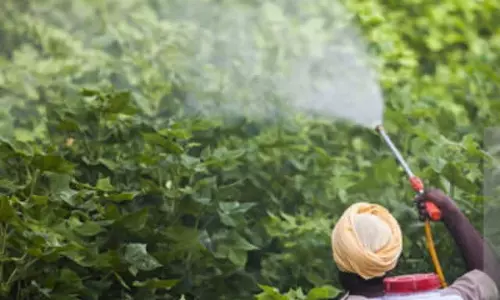 എന്‍ഡോസള്‍ഫാന്‍ ദുരിതബാധിതരുടെ അപേക്ഷകള്‍ കെട്ടിക്കിടക്കുന്നു