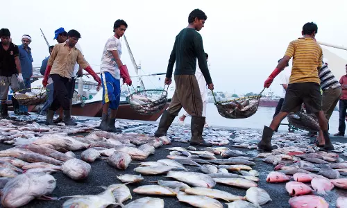 അജ്മാനിൽ പ്രാദേശിക മത്സ്യത്തൊഴിലാളികളുടെ ക്ഷേമത്തിന് 20 ലക്ഷം ദിര്‍ഹം ധനസഹായം