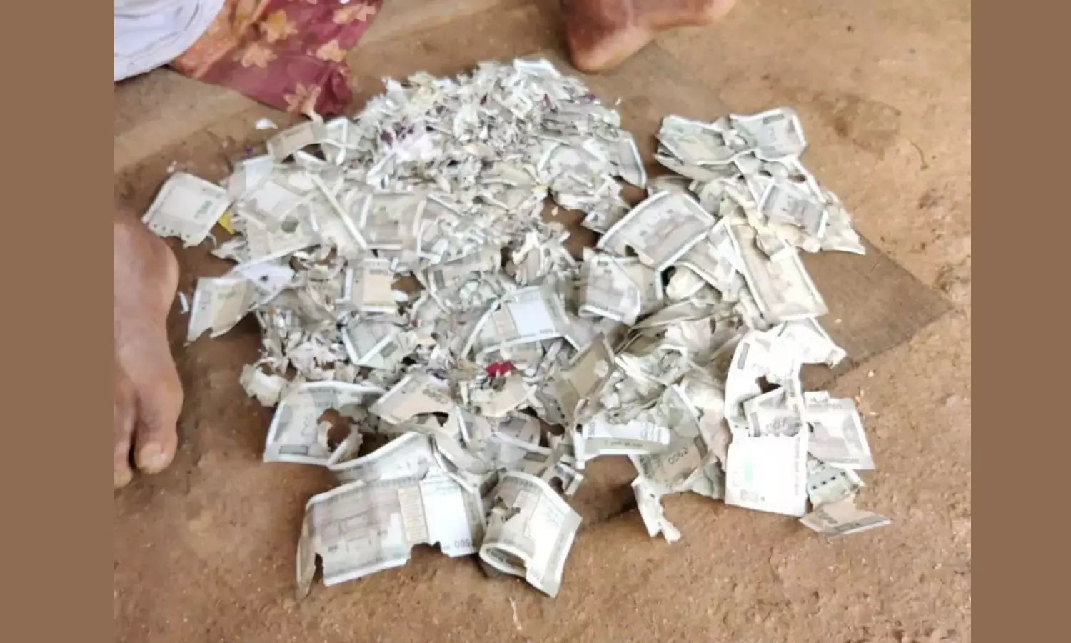 വയറ്റില് മുഴ: ശസ്ത്രക്രിയക്കായി കര്ഷകന് സ്വരൂപിച്ച രണ്ട് ലക്ഷം രൂപ എലികള് തിന്നു വയറ്റില് മുഴ: ശസ്ത്രക്രിയക്കായി കര്ഷകന് സ്വരൂപിച്ച രണ്ട് ലക്ഷം രൂപ എലികള് തിന്നു