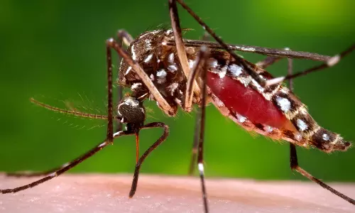 3 പേര്‍ക്ക് കൂടി സിക്ക; ആകെ രോ​ഗബാധിതർ 41