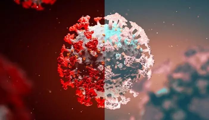 ഡെൽറ്റ വകഭേദം കൂടുതൽ അപകടകാരി; ഇന്ത്യയിലെ കോവിഡ് ഭീഷണിയെന്ന് സൗദി