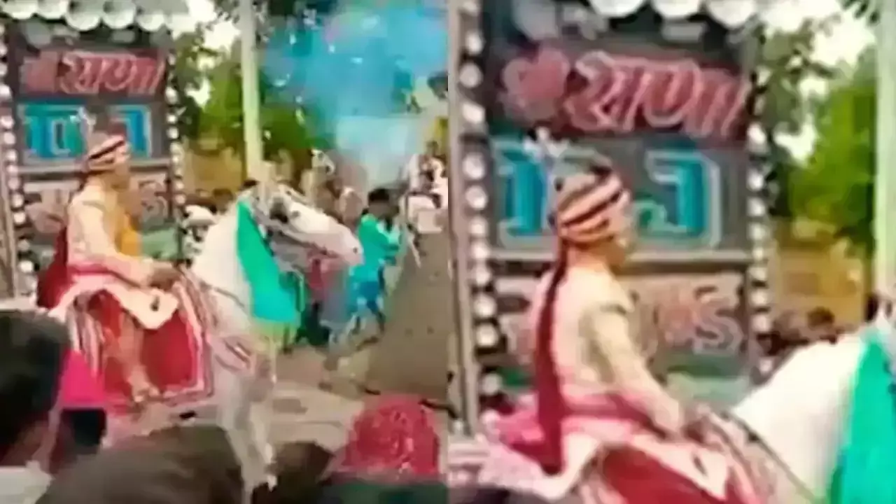 വിവാഹ ചടങ്ങിനിടെ പടക്കം പൊട്ടിച്ചു; വിരണ്ട കുതിര വരനെയും കൊണ്ട് പാഞ്ഞത് 4 കിലോ മീറ്റര്‍