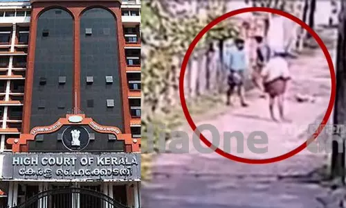 ഇനി ഇത്തരം സംഭവങ്ങള് ആവര്ത്തിക്കരുത്; തെരുവ് നായ്ക്കളെ അടിച്ചു കൊന്ന സംഭവത്തില് ഹൈക്കോടതി ഇടപെടല് ഇനി ഇത്തരം സംഭവങ്ങള് ആവര്ത്തിക്കരുത്; തെരുവ് നായ്ക്കളെ അടിച്ചു കൊന്ന സംഭവത്തില് ഹൈക്കോടതി ഇടപെടല്