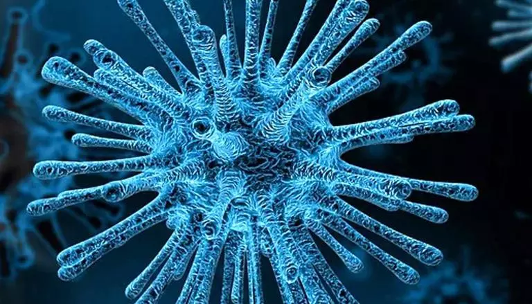 കോവിഡ് കാപ്പ വകഭേദം ഗുജറാത്തിലും; അഞ്ചു കേസുകള് സ്ഥിരീകരിച്ചു കോവിഡ് കാപ്പ വകഭേദം ഗുജറാത്തിലും; അഞ്ചു കേസുകള് സ്ഥിരീകരിച്ചു