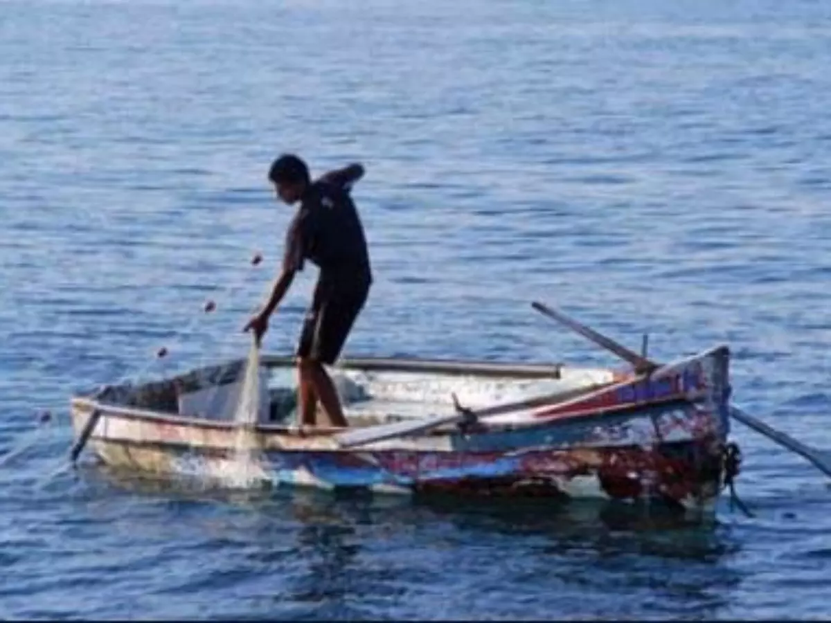 ചെമ്മീൻ ട്രോളിങ് നിരോധം: 630 കിലോ ചെമ്മീൻ കണ്ടെടുത്തതായി കോസ്റ്റ് ഗാർഡ് ചെമ്മീൻ ട്രോളിങ് നിരോധം: 630 കിലോ ചെമ്മീൻ കണ്ടെടുത്തതായി കോസ്റ്റ് ഗാർഡ്