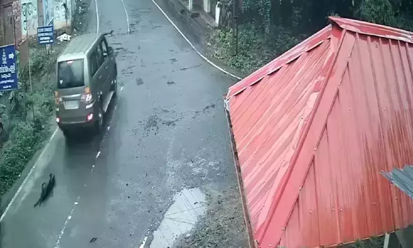 നായയെ കാറിന് പിന്നിൽ കെട്ടി വലിച്ച സംഭവം; പ്രതി അറസ്റ്റില് നായയെ കാറിന് പിന്നിൽ കെട്ടി വലിച്ച സംഭവം; പ്രതി അറസ്റ്റില്