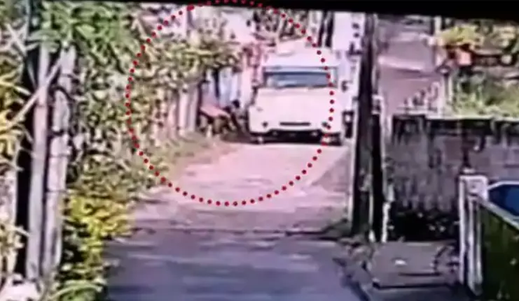 തെരുവ് നായകളെ കൂട്ടത്തോടെ കൊന്ന സംഭവം; ജൂനിയര്‍ ഹെല്‍ത്ത് ഇന്‍സ്‌പെക്ടറെ   ഉടൻ ചോദ്യം ചെയ്യും