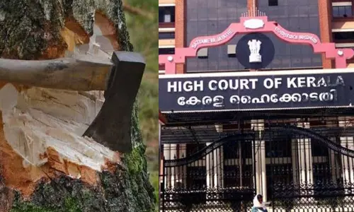 മുട്ടിൽ മരം മുറി കേസ്: അറസ്റ്റിലായ പ്രതികളെ വയനാട് കോടതിയിൽ ഹാജരാക്കും