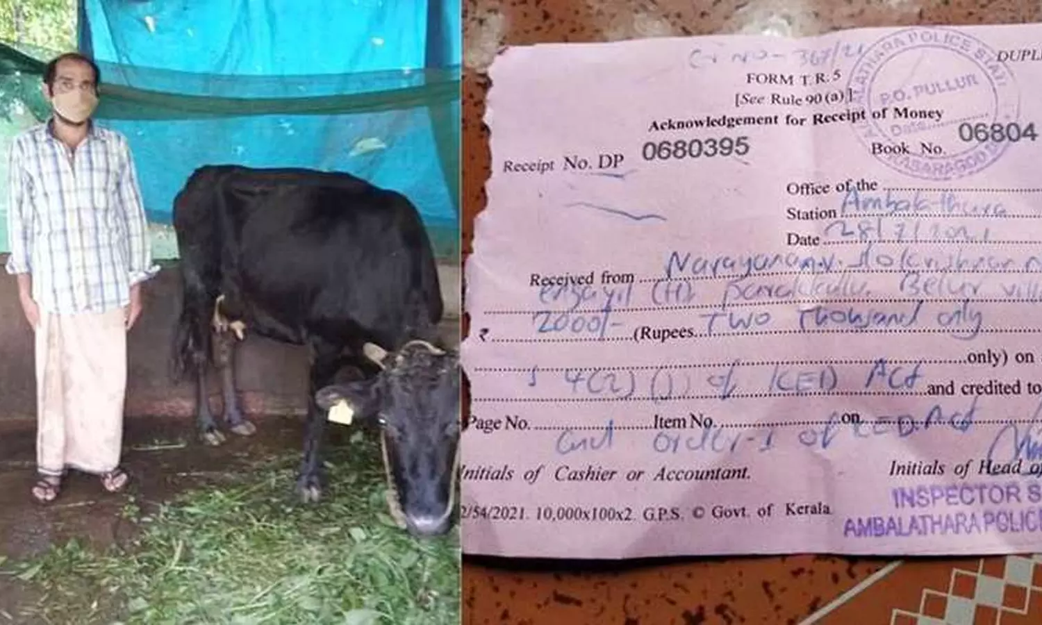 ഭാര്യക്ക് കോവിഡ്; പശുവിന് പുല്ലരിയാന് പറമ്പിലേക്കിറങ്ങിയ കര്ഷകന് 2000 രൂപ പിഴയിട്ട് പൊലീസ് ഭാര്യക്ക് കോവിഡ്; പശുവിന് പുല്ലരിയാന് പറമ്പിലേക്കിറങ്ങിയ കര്ഷകന് 2000 രൂപ പിഴയിട്ട് പൊലീസ്