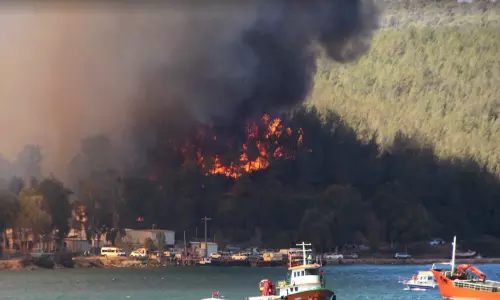തുർക്കിയിൽ പടർന്ന് പിടിച്ച് കാട്ടുതീ - ചിത്രങ്ങൾ