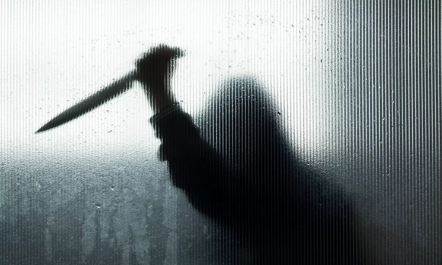 രഹസ്യബന്ധം ചോദ്യം ചെയ്ത പതിനേഴുകാരനെ മാതാവിന്റെ കാമുകന് കുത്തിക്കൊന്നു രഹസ്യബന്ധം ചോദ്യം ചെയ്ത പതിനേഴുകാരനെ മാതാവിന്റെ കാമുകന് കുത്തിക്കൊന്നു