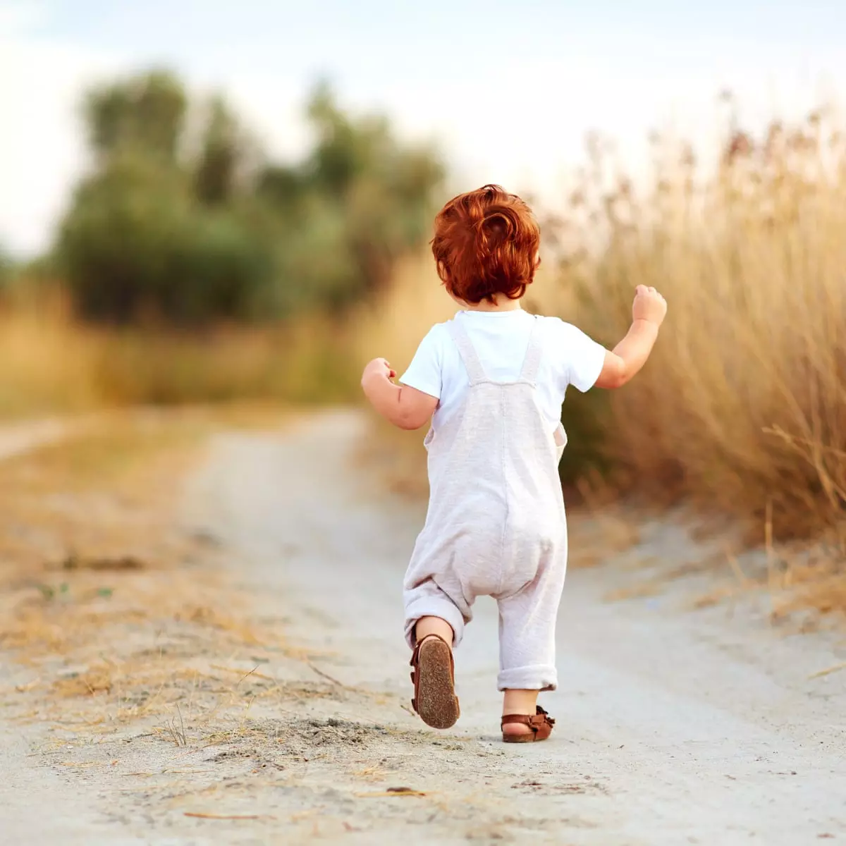ലഹരിമരുന്ന് വാങ്ങാന് പണമില്ല; പിതാവ് രണ്ടര വയസുകാരനെ 40,000 രൂപക്ക് വിറ്റു ലഹരിമരുന്ന് വാങ്ങാന് പണമില്ല; പിതാവ് രണ്ടര വയസുകാരനെ 40,000 രൂപക്ക് വിറ്റു
