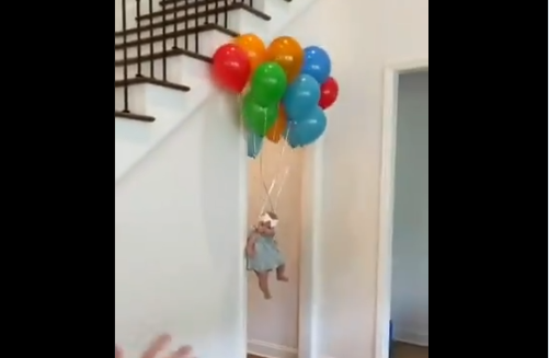 ബലൂണുകള്‍ക്കൊപ്പം ഉയര്‍ന്നു പൊങ്ങിയ കുഞ്ഞ്; ആറര മില്യണ്‍ ആളുകള്‍ കണ്ട വൈറല്‍ വീഡിയോ