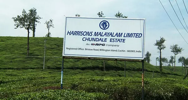 മുണ്ടക്കയം എസ്റ്റേറ്റ്; ഹാരിസണിന്റെ കൈവശമുള്ളത് വ്യാജ പട്ടയം മുണ്ടക്കയം എസ്റ്റേറ്റ്; ഹാരിസണിന്റെ കൈവശമുള്ളത് വ്യാജ പട്ടയം