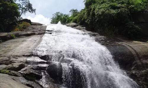 തുഷാരഗിരിയിലെ ആശങ്ക; ഭൂമി വനംവകുപ്പ് പണം കൊടുത്ത് വാങ്ങിയേക്കും