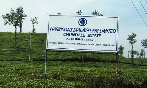 മുണ്ടക്കയം എസ്റ്റേറ്റ്; ഹാരിസണിന്‍റെ കൈവശമുള്ളത് വ്യാജ പട്ടയം