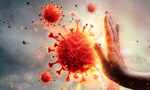 ഇന്ന് 20,452 പേര്‍ക്ക് കോവിഡ്; 114 മരണം