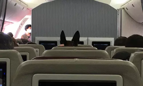 മനുഷ്യരേക്കാള്‍ പട്ടികളെ രക്ഷപ്പെടുത്താന്‍ പണിയെടുത്ത് അമേരിക്കന്‍ പട്ടാളം: വ്യാപക വിമര്‍ശനം