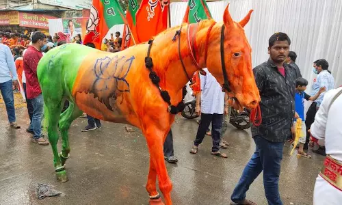 കുതിരക്ക് ബി.ജെ.പി പതാകയുടെ പെയിന്‍റടിച്ചു; പരാതിയുമായി മനേകാ ഗാന്ധിയുടെ എന്‍.ജി.ഒ