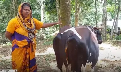 ക്ഷീര കര്ഷകയോട് മൃഗ സംരക്ഷണ വകുപ്പ് കൈക്കൂലി ആവശ്യപ്പെട്ടതായി പരാതി ക്ഷീര കര്ഷകയോട് മൃഗ സംരക്ഷണ വകുപ്പ് കൈക്കൂലി ആവശ്യപ്പെട്ടതായി പരാതി
