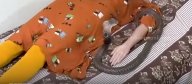 ഉത്ര വധക്കേസ്; പാമ്പിനെ കൊണ്ടു കടിപ്പിക്കുന്ന ഡമ്മി പരിശോധനയുടെ ദൃശ്യങ്ങള്‍ പുറത്ത്