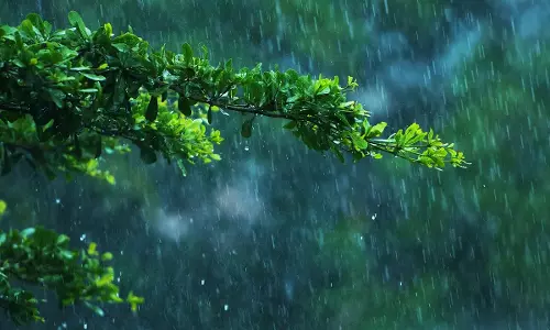 ഇന്നും ശക്തമായ മഴക്ക് സാധ്യത; ഒന്‍പത് ജില്ലകളില്‍ യെല്ലോ അലര്‍ട്ട്