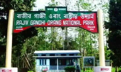 അസം ദേശീയോദ്യാനത്തിൽ നിന്ന്​ രാജീവ്​ ഗാന്ധിയുടെ പേര്​ നീക്കൽ; ബിജെപിയെ വിമർശിച്ച് കോൺഗ്രസ്
