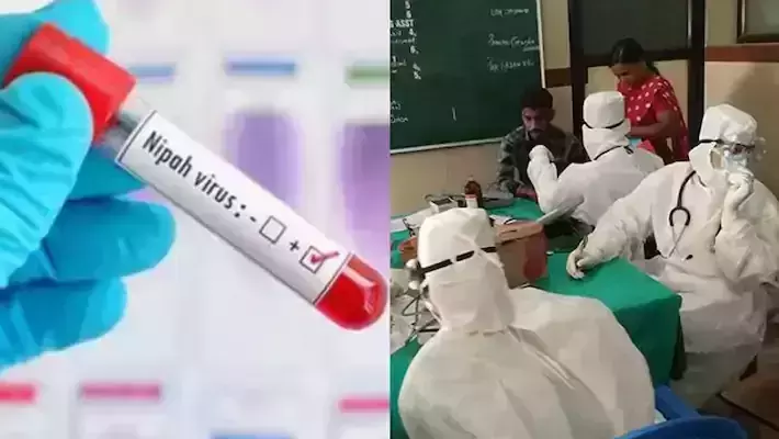 നിപ നിയന്ത്രണം; കേരളത്തിന് നാലിന നിർദേശവുമായി കേന്ദ്രം നിപ നിയന്ത്രണം; കേരളത്തിന് നാലിന നിർദേശവുമായി കേന്ദ്രം