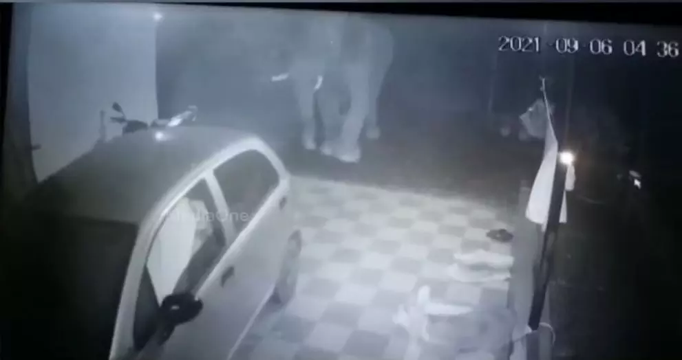 കാട്ടാനയ്ക്കെന്ത് കാര്? പോര്ച്ചില് കിടന്ന കാര് കൊമ്പില് തൂക്കിയെറിഞ്ഞ് ആന കാട്ടാനയ്ക്കെന്ത് കാര്? പോര്ച്ചില് കിടന്ന കാര് കൊമ്പില് തൂക്കിയെറിഞ്ഞ് ആന