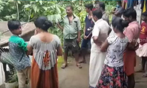 കുമളിയില്‍ ജനവാസ മേഖലയിൽ പുലിയിറങ്ങി