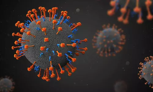 നിപ പ്രതിരോധം; രണ്ടാം കേന്ദ്രസംഘം കേരളത്തിലേക്ക്