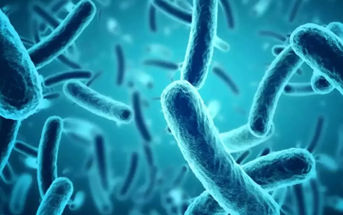 നിപ; സംസ്ഥാനത്ത് ആറു പേര്‍ക്ക് കൂടി രോഗലക്ഷണം