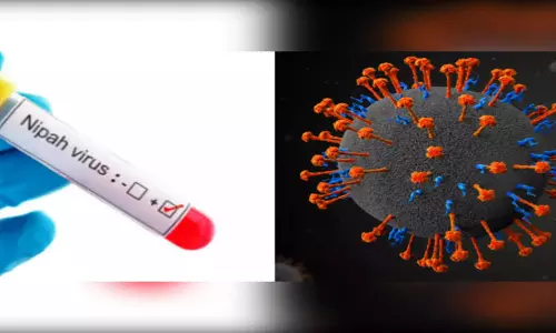 നിപയുടെ ഉറവിടം കണ്ടെത്താനായി ശേഖരിച്ച സാമ്പിളുകൾ ഭോപ്പാലിലെ ലാബിലേക്ക് അയക്കും