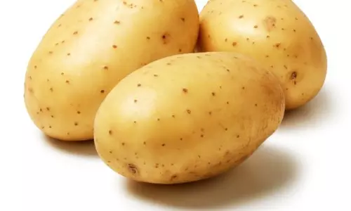 ഉരുളക്കിഴങ്ങ് ഇഷ്ടമാണെങ്കിൽ നിങ്ങൾക്ക് നേടാം 50,000 രൂപ ശമ്പളം